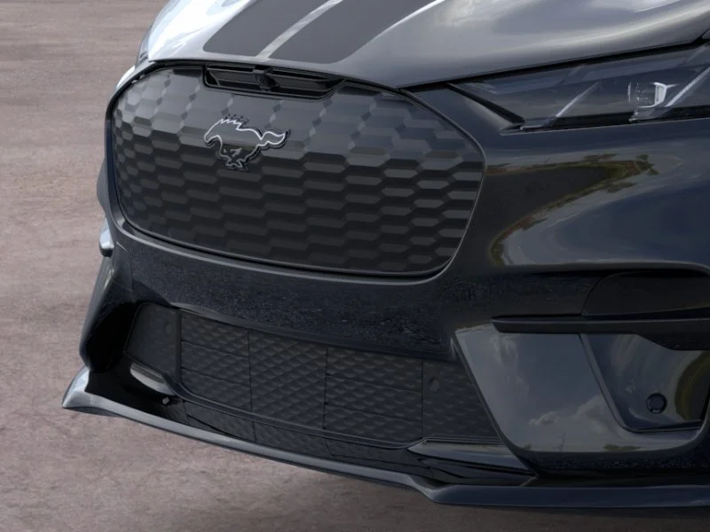 New 2026 Shadow Black Ford Premium image 17