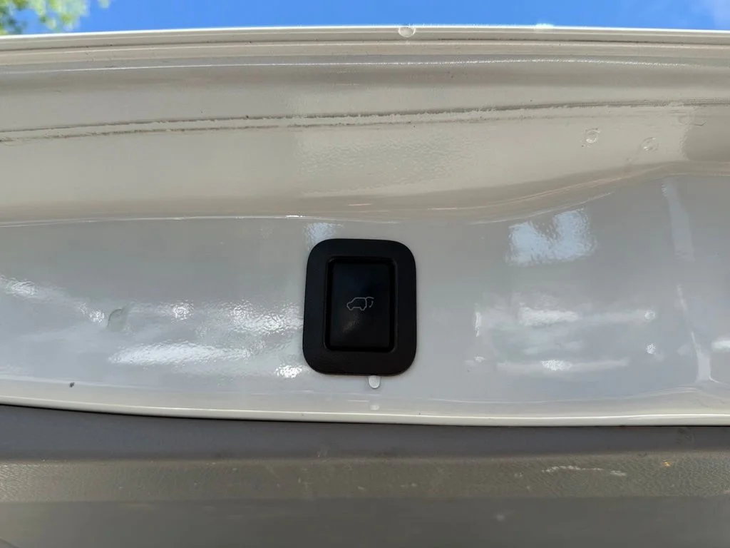 Used 2019 White Toyota XLE image 32