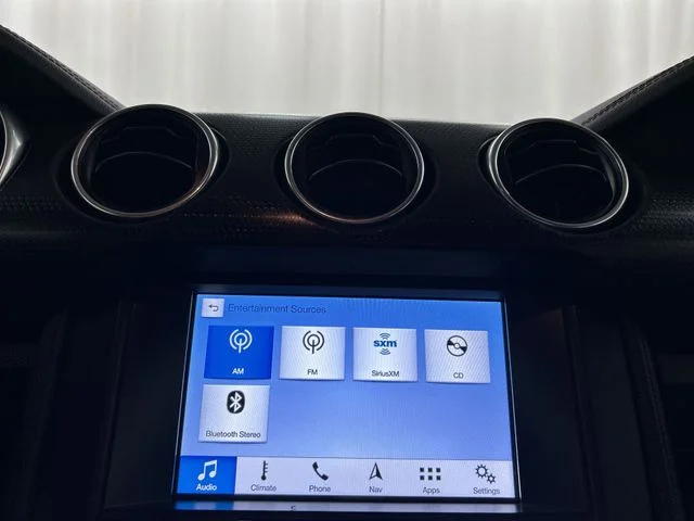 Used 2019 Black Ford GT Premium image 13