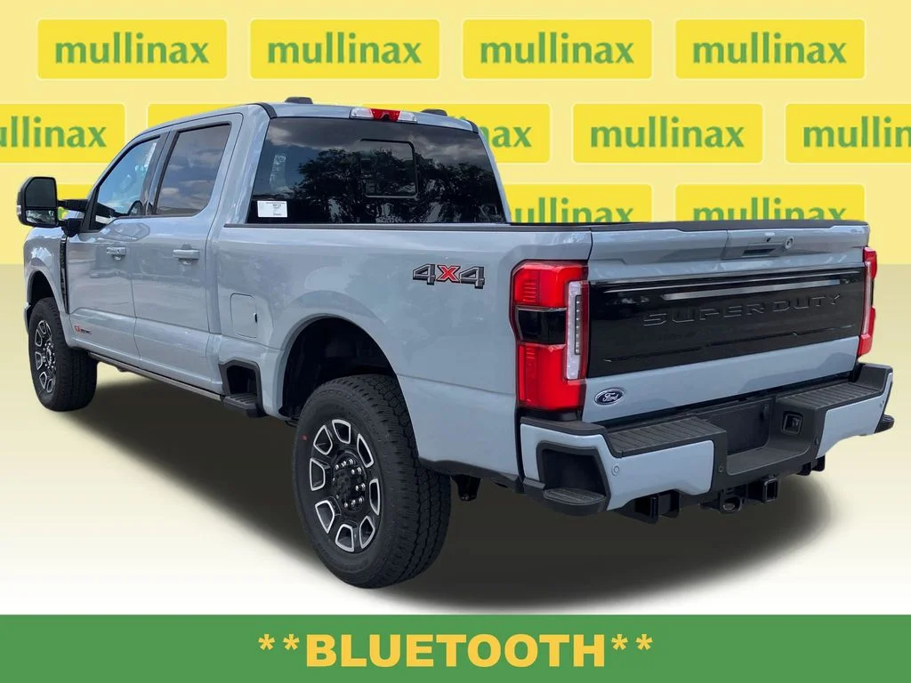 New 2026 Gray Ford Platinum image 11