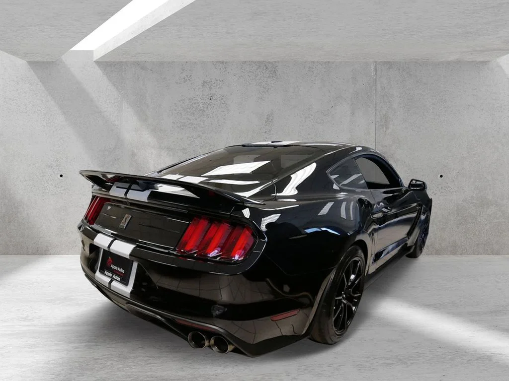 Certified 2020 Ford Mustang Shelby GT350 with VIN 1FA6P8JZ0L5551110 for sale in White Bear Lake, Minnesota