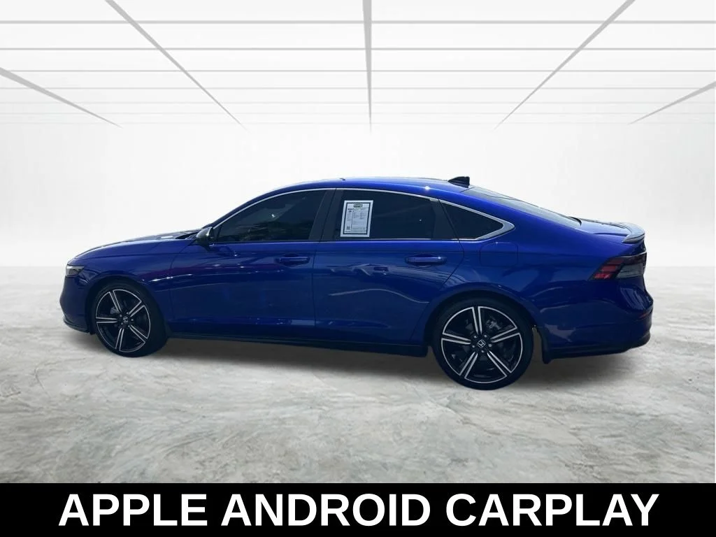 Used 2024 Blue Honda Sport image 8