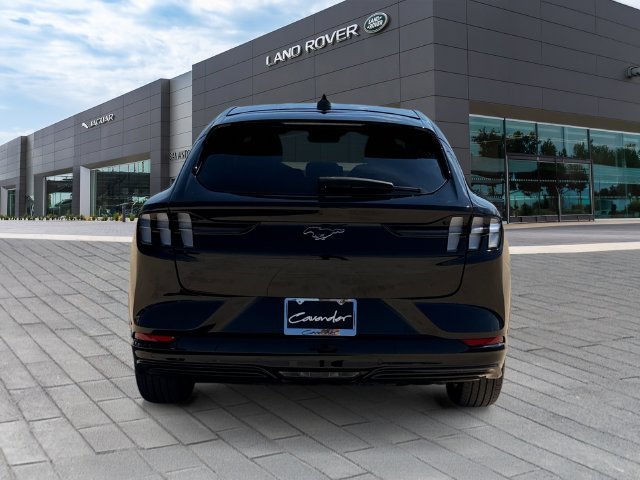Used 2023 Black Ford Premium image 4