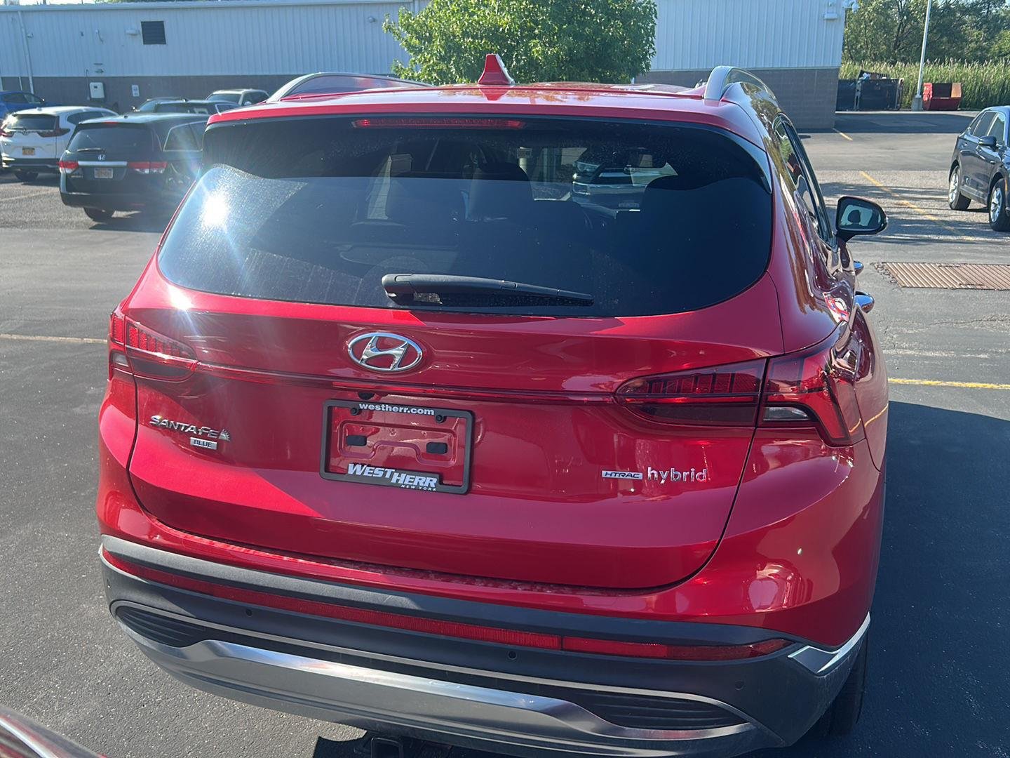 Used 2023 Calypso Red Hyundai Blue image 6