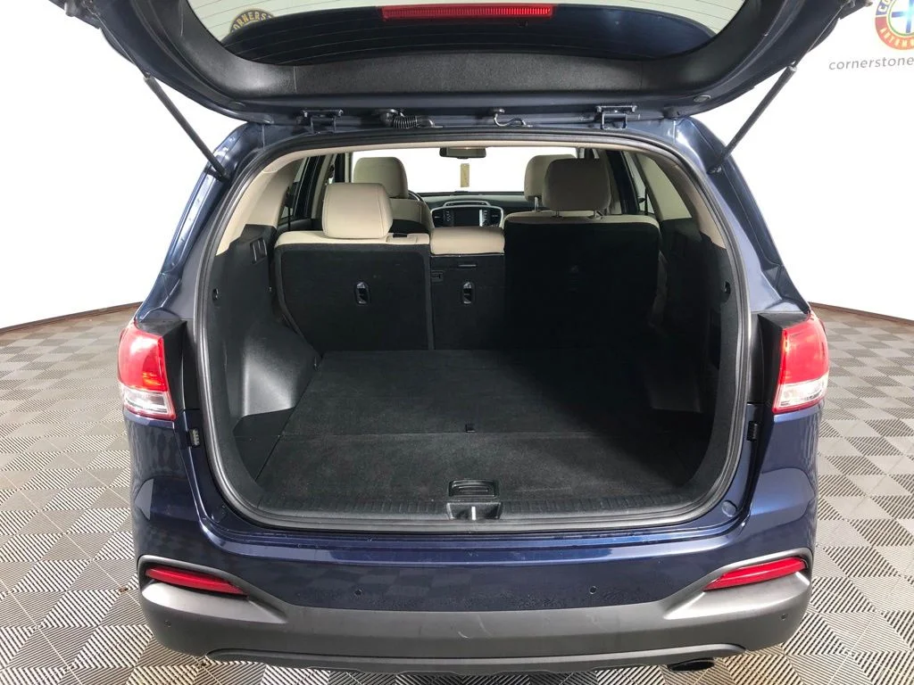 Used 2017 Blue Kia LX image 19