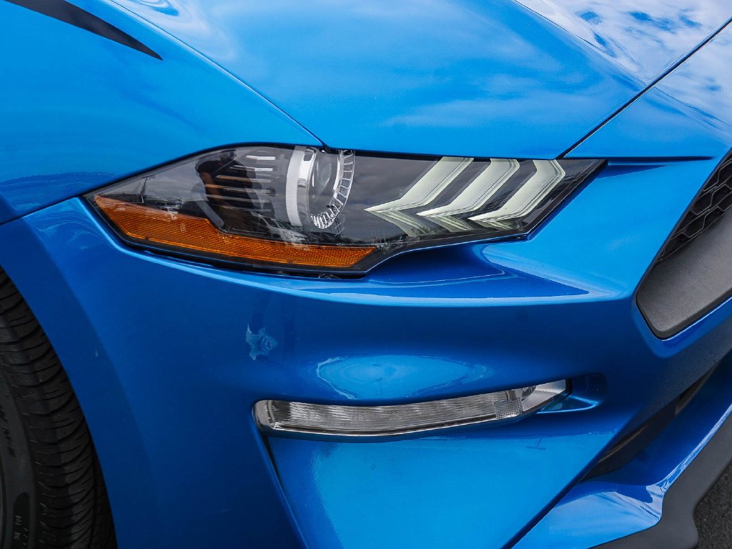 Used 2019 Blue Ford EcoBoost Premium image 10