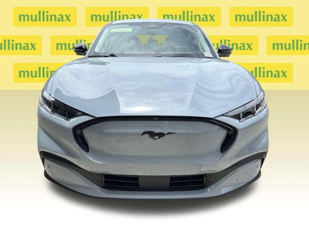 New 2026 Gray Ford Premium image 12
