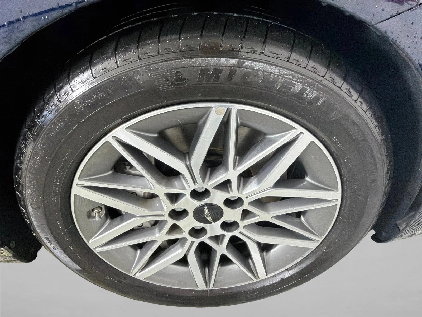 Used 2025 Blue Genesis 2.5T image 13