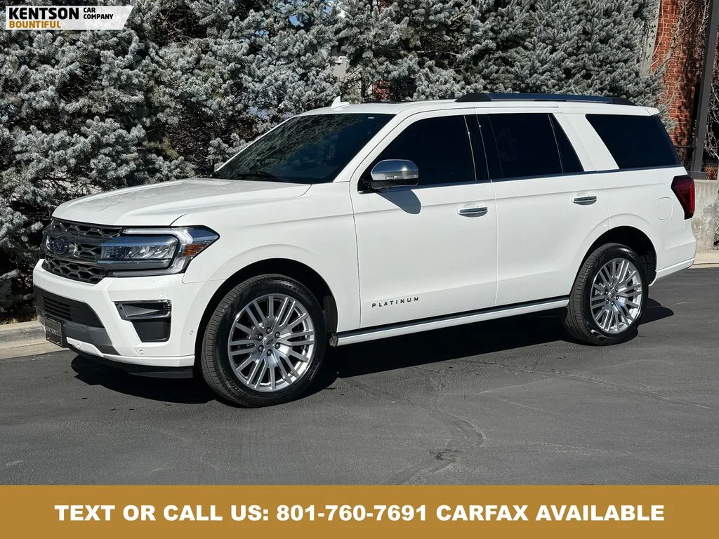 2024 Ford Expedition Platinum 4x4's photo