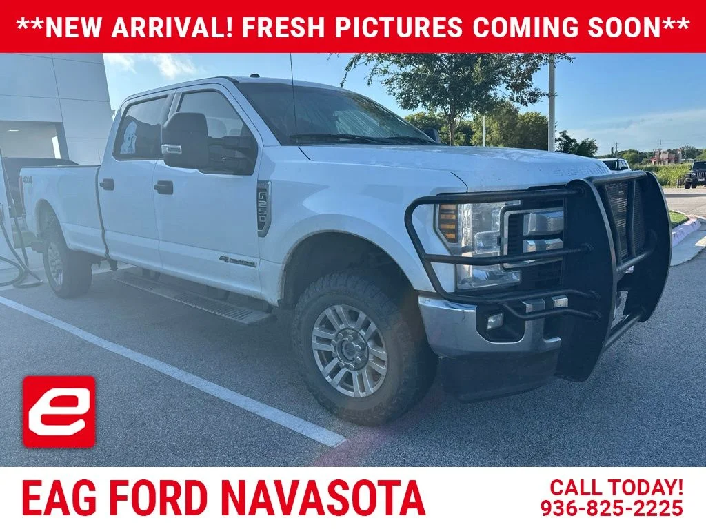 Used 2019 Oxford White Ford XLT image 1