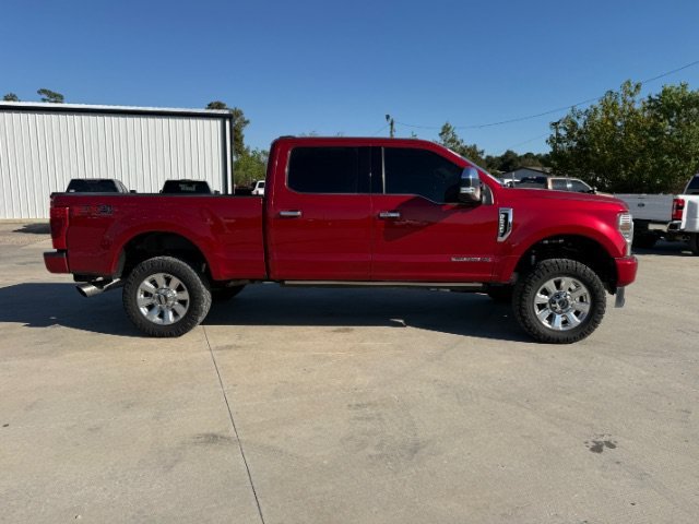 Used 2020 Red Ford Platinum image 6