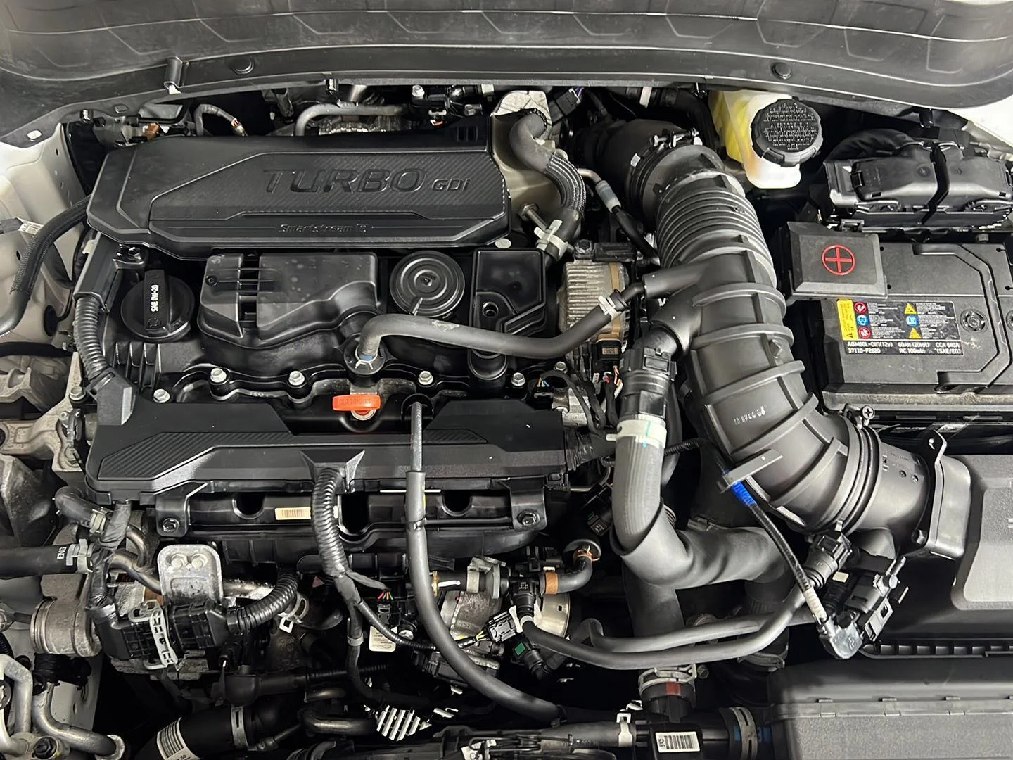 Used 2024  Kia SX image 22
