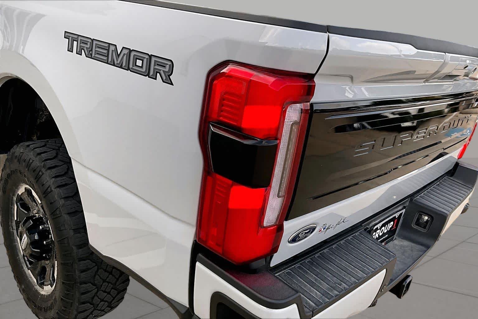 Used 2025 Avalanche Gray Ford Platinum image 25