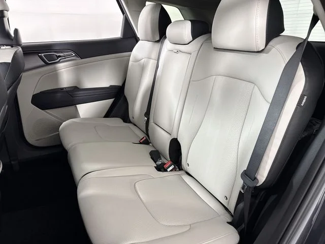 New 2026 Panthera Metal Kia EX image 22