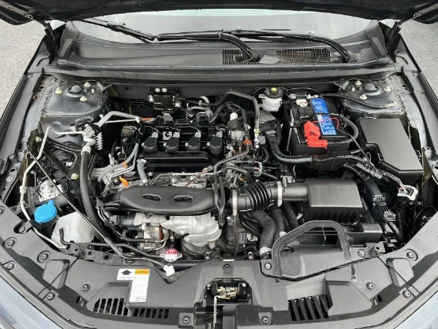 Used 2025  Honda LX image 19