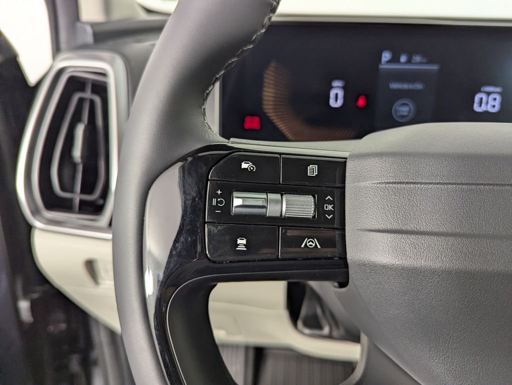 New 2026 Panthera Metal Kia S image 22