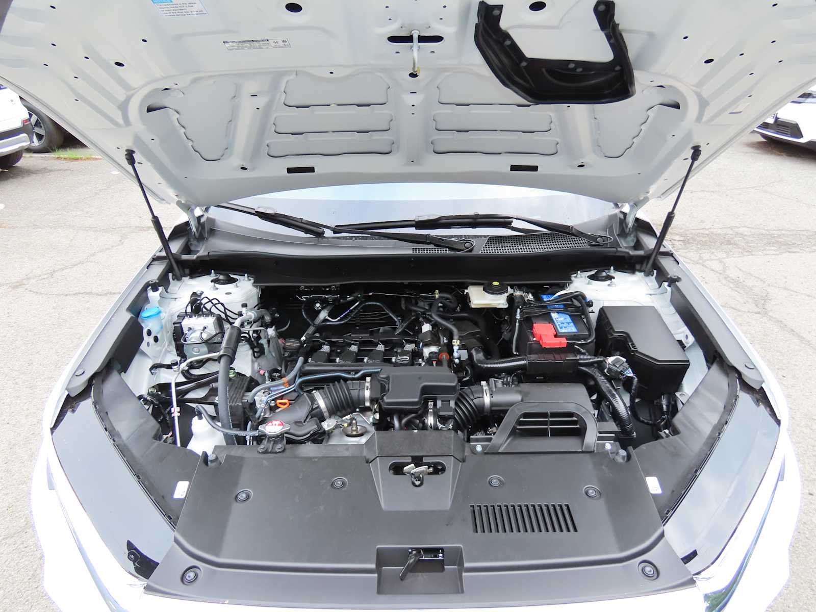 New 2026 Platinum White Pearl Honda LX image 10
