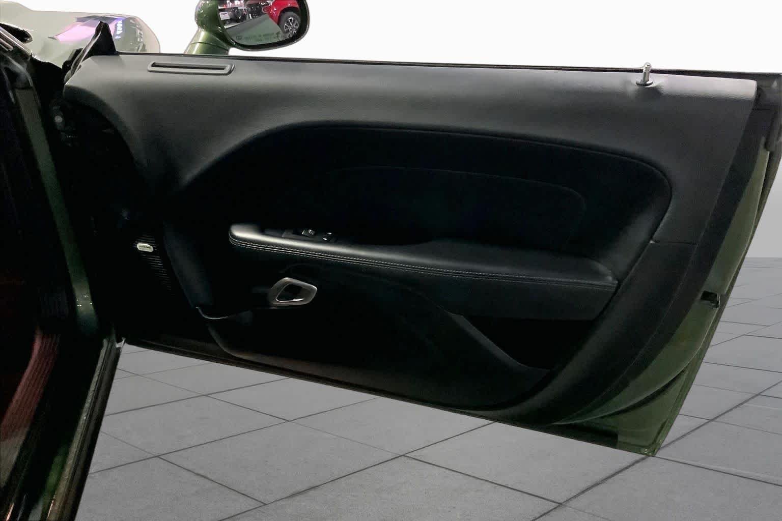 Used 2019 F8 Green Dodge SXT image 19