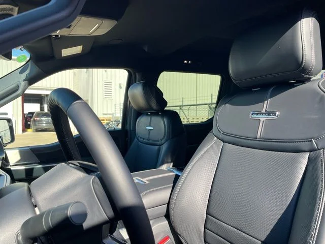 New 2026 Carbonized Gray Metallic Ford Platinum image 8