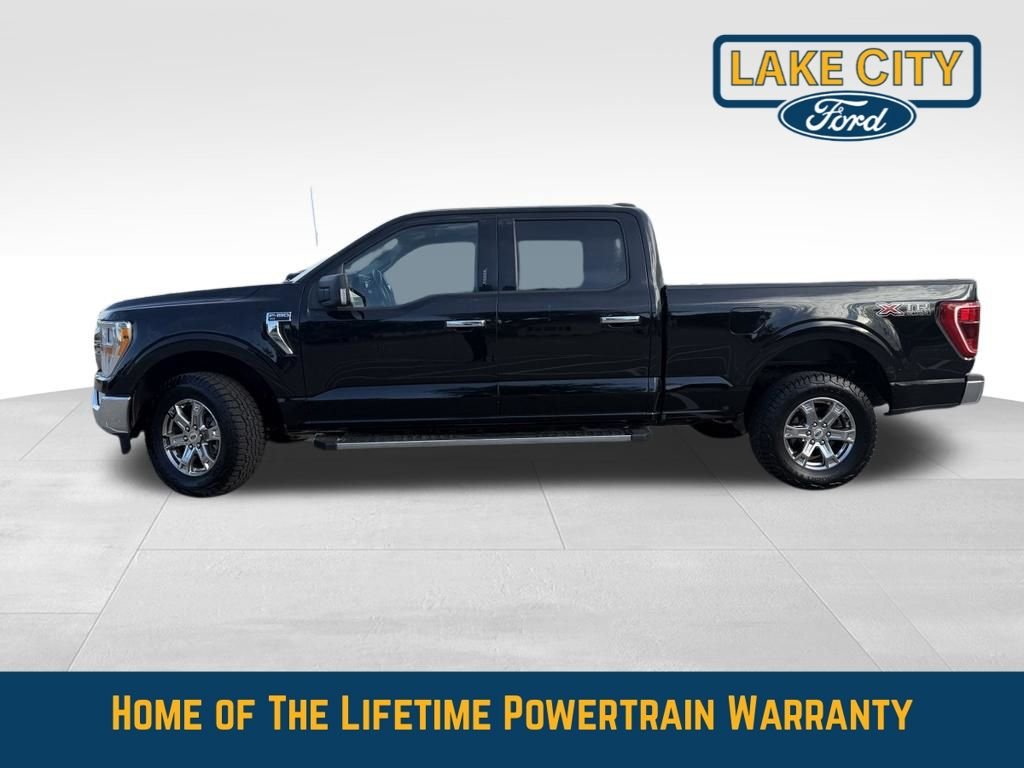 Used 2021 Ford F-150 XLT with VIN 1FTFW1E8XMKD76616 for sale in Lake City, Minnesota