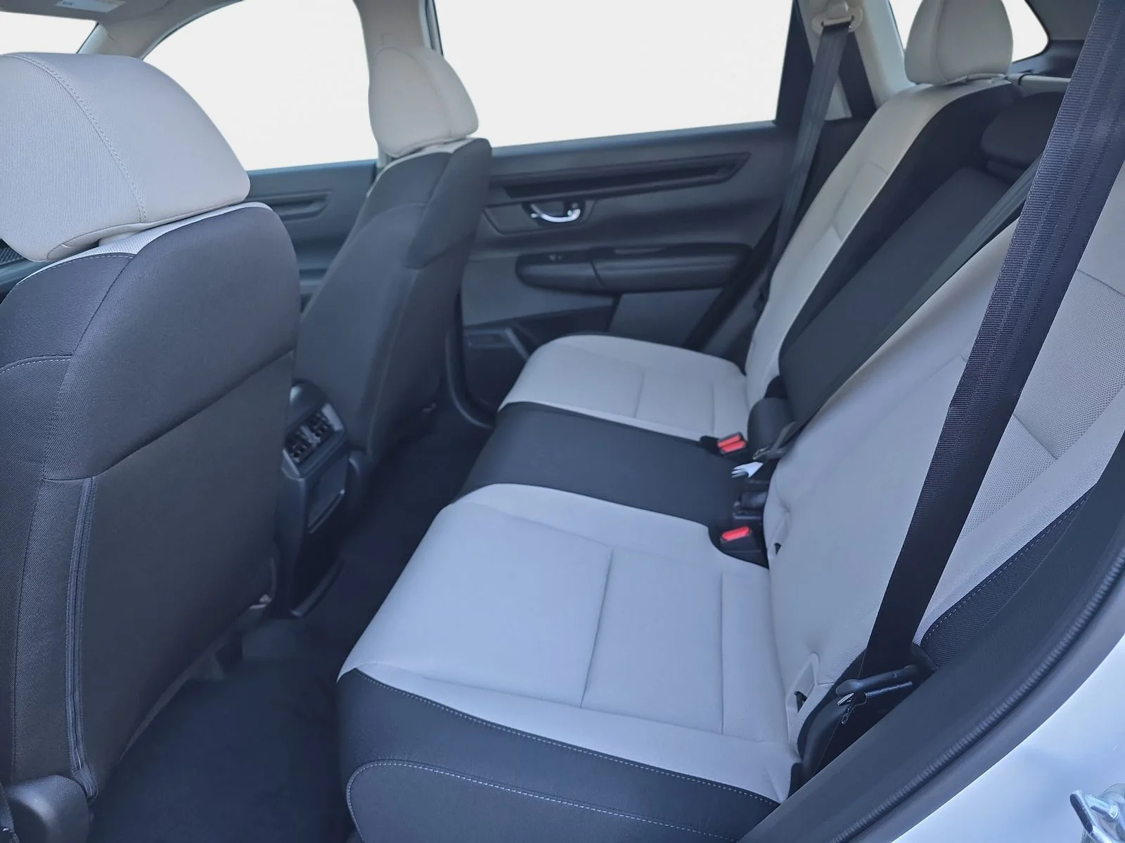 New 2026 Platinum White Pearl Honda LX image 13