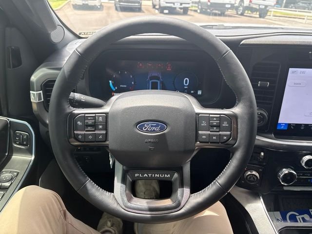 Used 2025 Space Gray Ford Platinum image 9