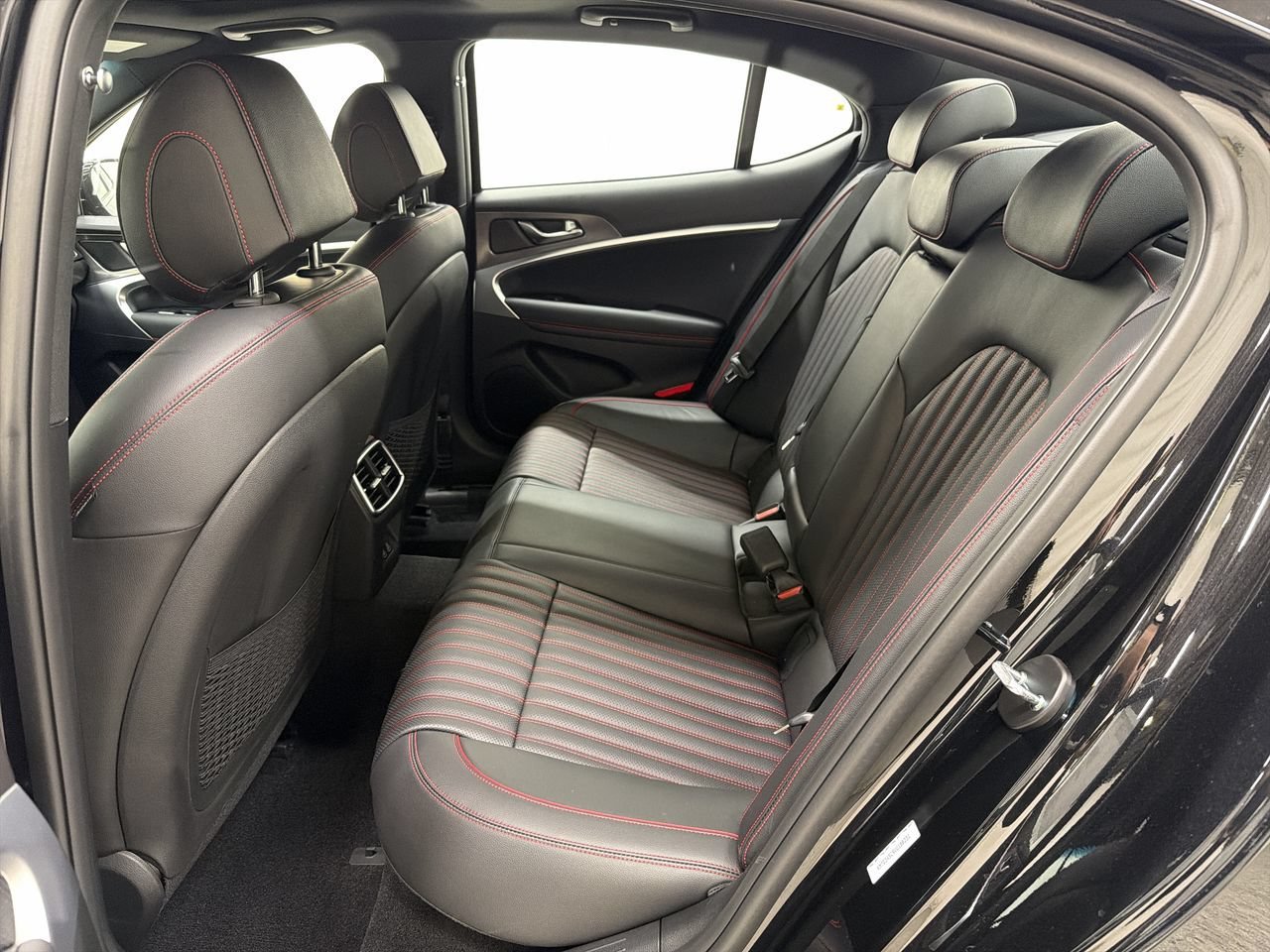 New 2027 Vik Black Genesis Standard image 19