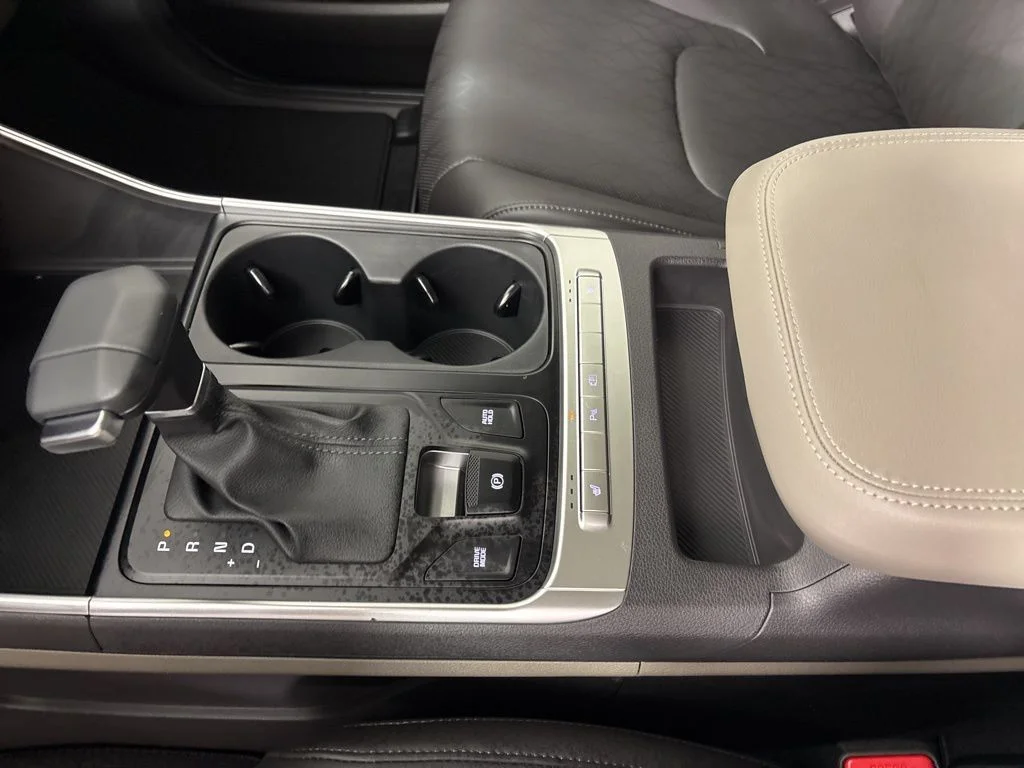 New 2026 Panthera Metal Kia LXS image 33