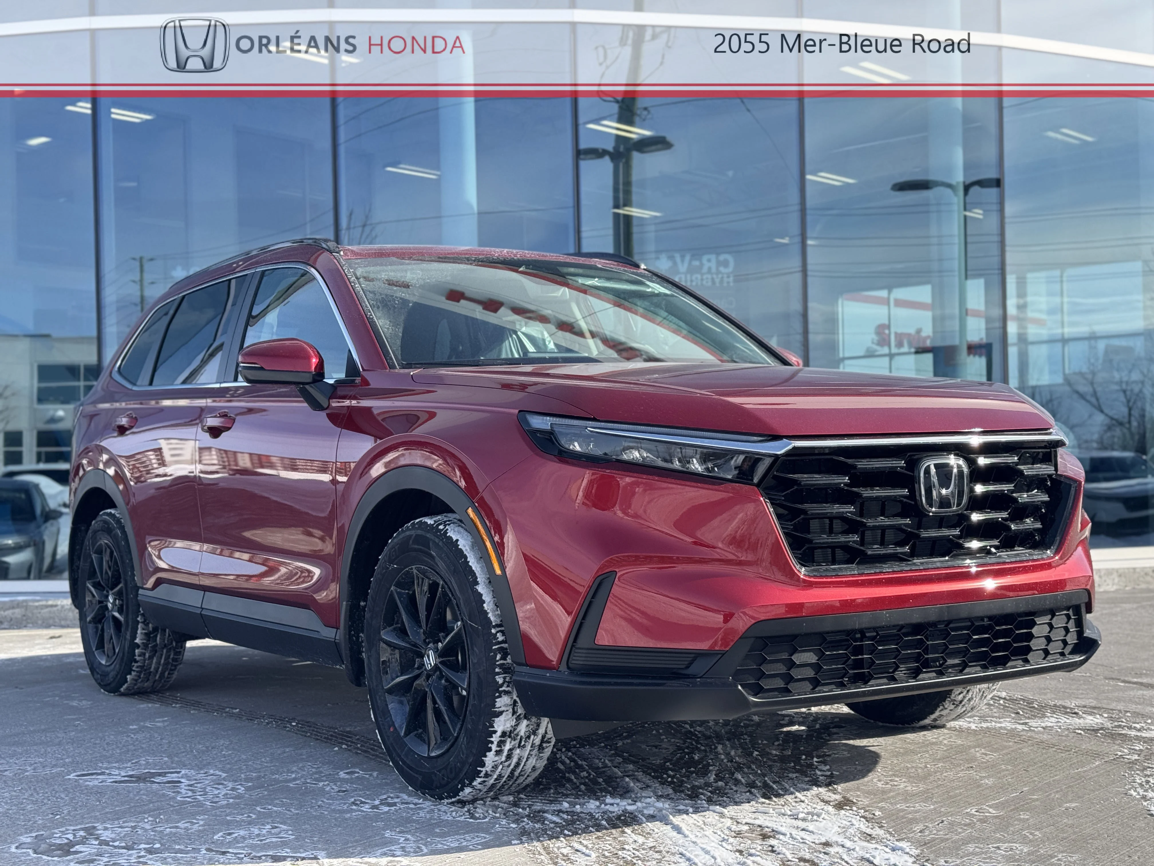 New 2026 Red Honda Sport image 9