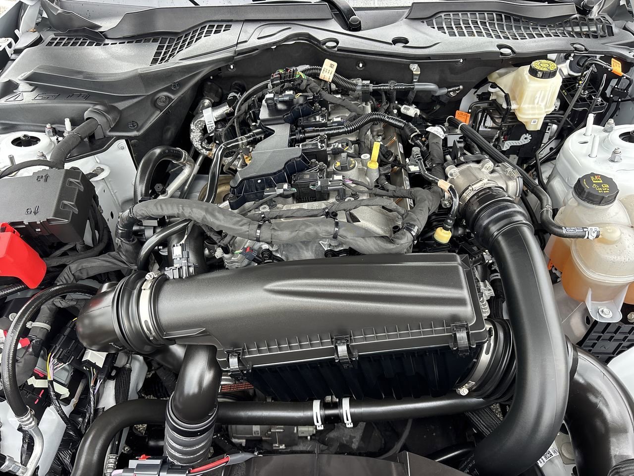 Used 2024 Oxford White Ford EcoBoost image 10