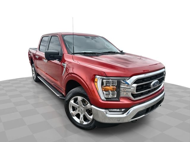 2023 Ford F-150 XLT 4x4 SuperCrew 5-1/2 Box's photo