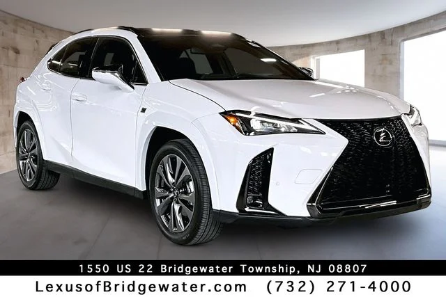 2026 Lexus UX 300h 300h AWD's photo