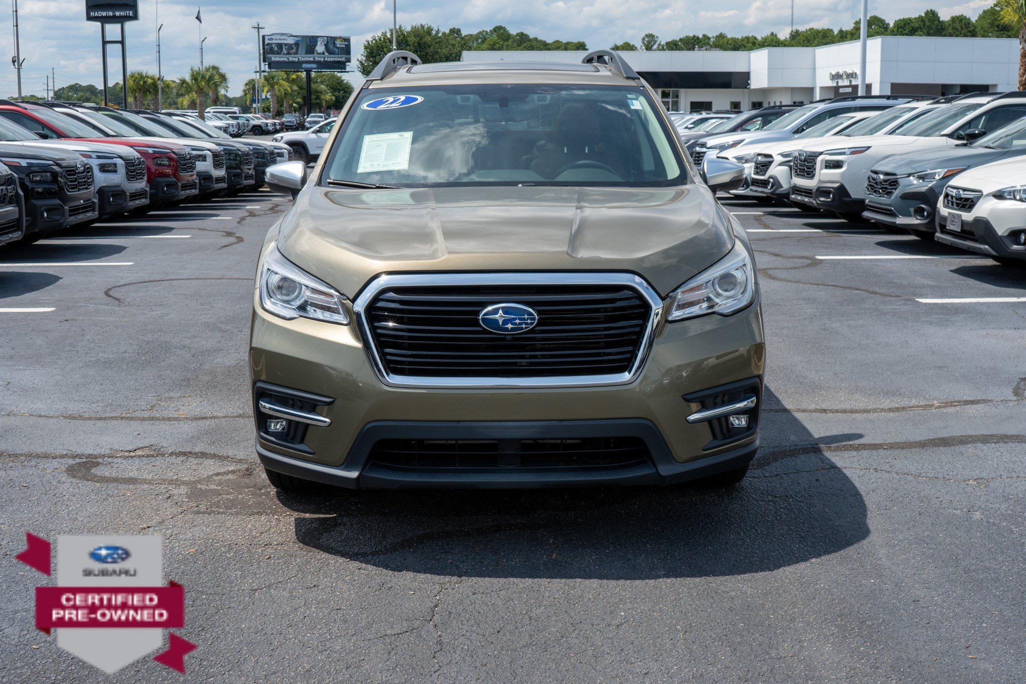 Certified Used 2022 Autumn Green Metallic Subaru Touring image 8