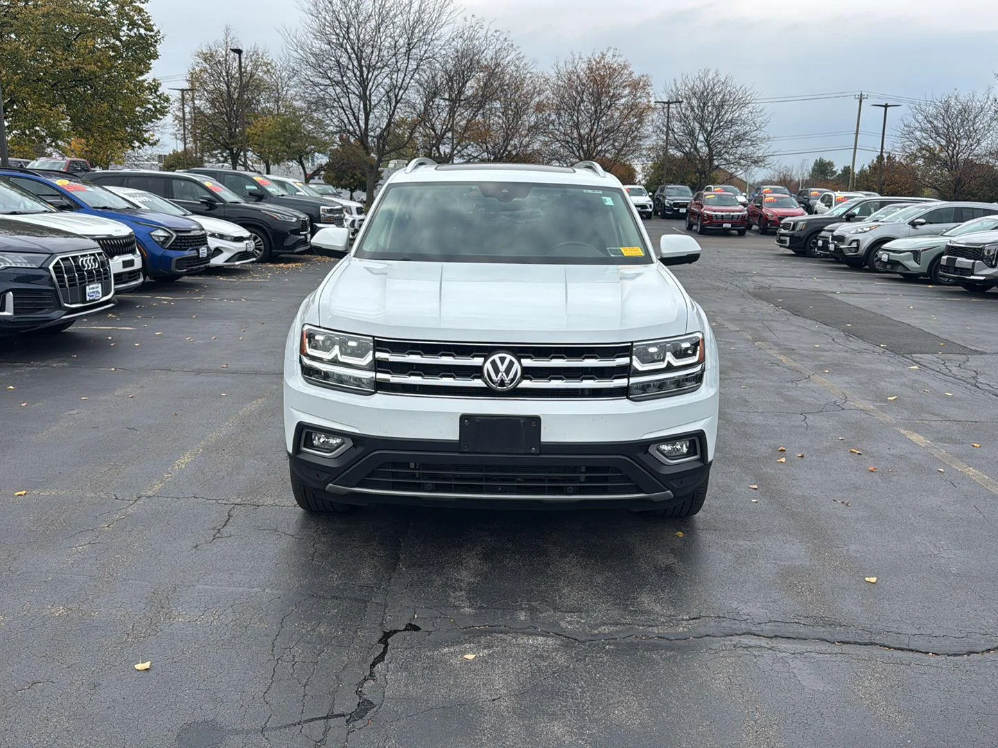 Used 2019 Wh Volkswagen  image 4