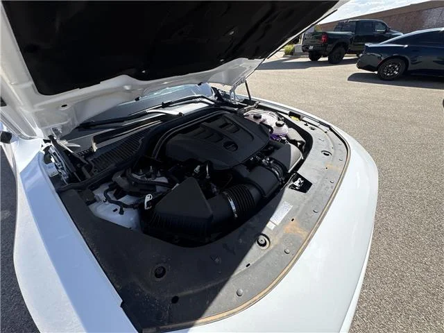 New 2026 White Knuckle  Paint Dodge RT 4-DOOR AWD image 31