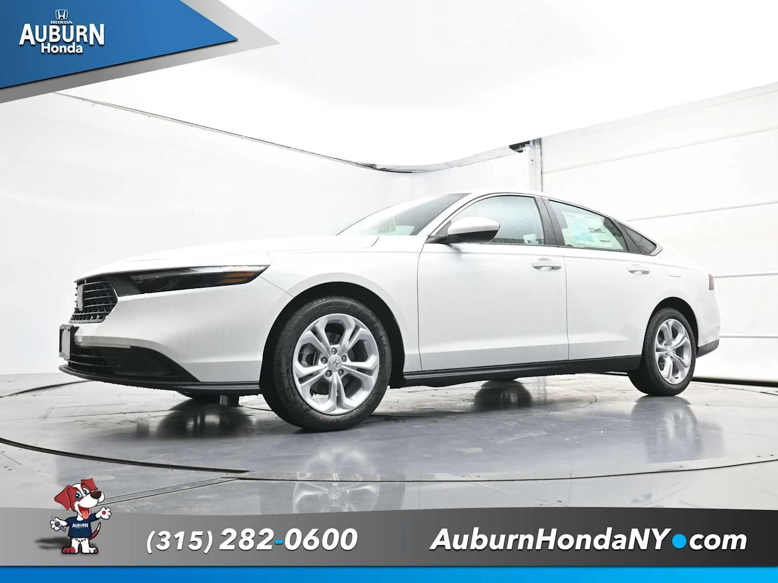 New 2025 Platinum White Pearl Honda LX image 18