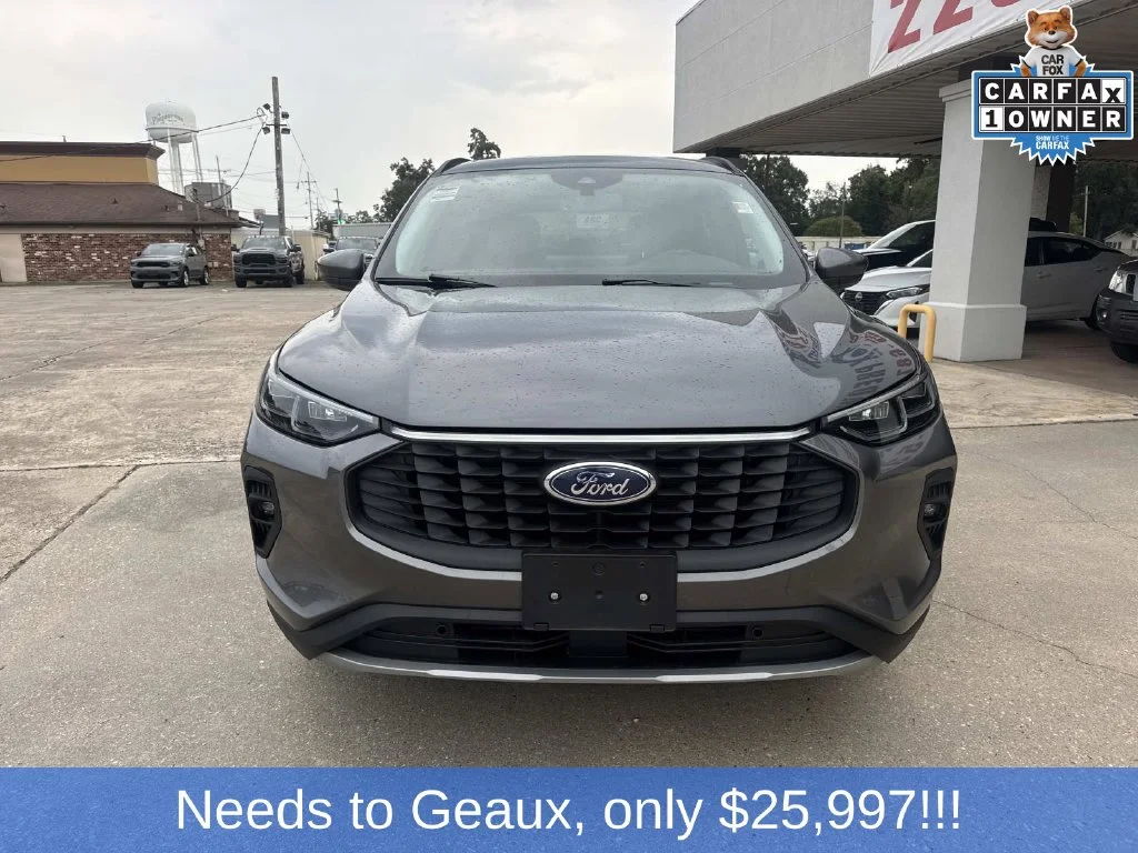 Used 2025 Gray Ford Platinum image 2