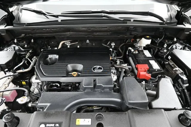 Photo 43