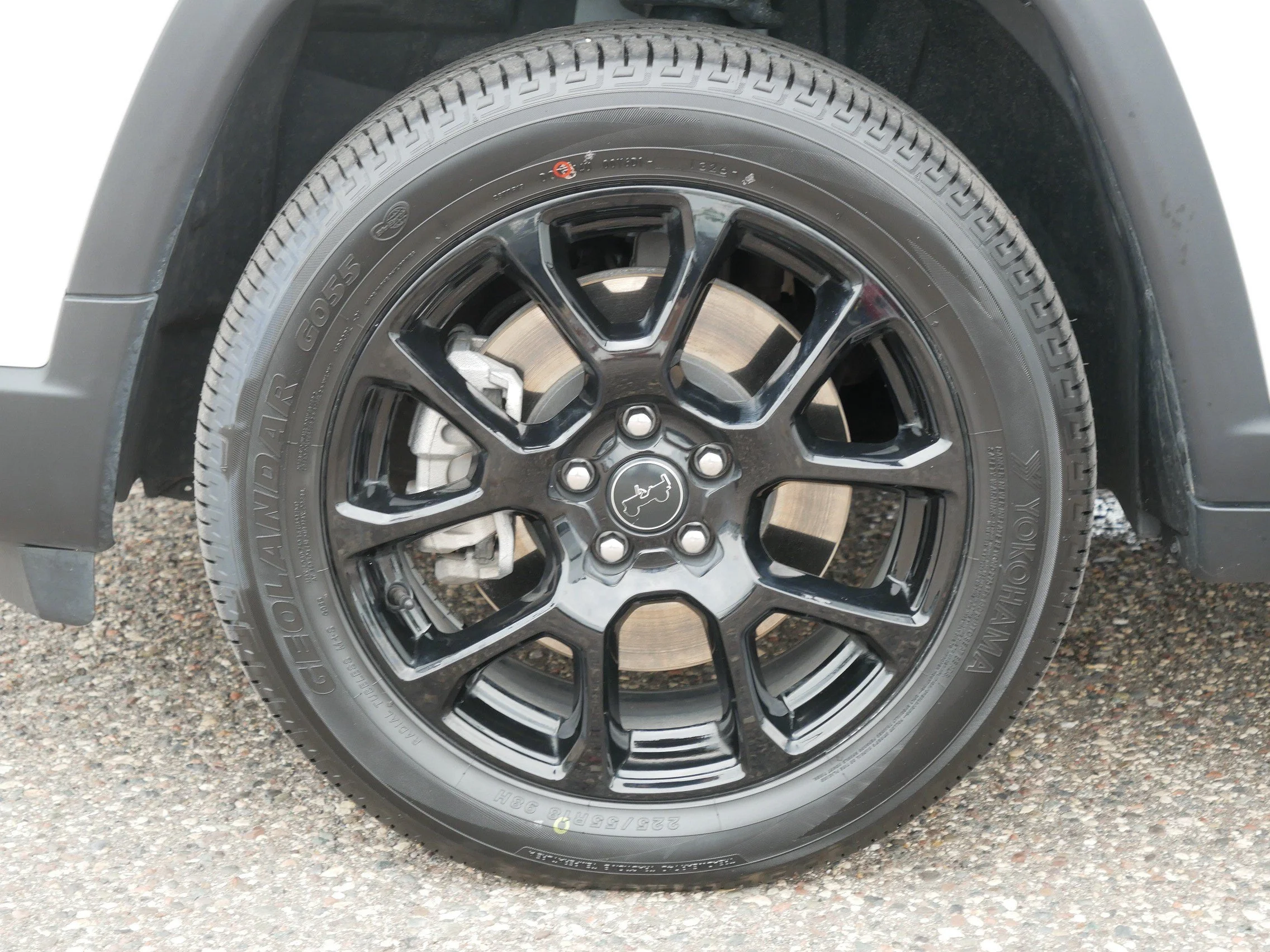 Photo 15