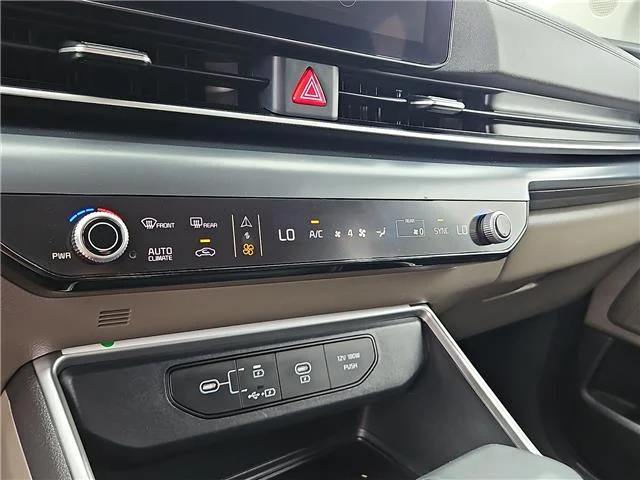 Used 2025 Panthera Metal KIA LXS Passenger image 19