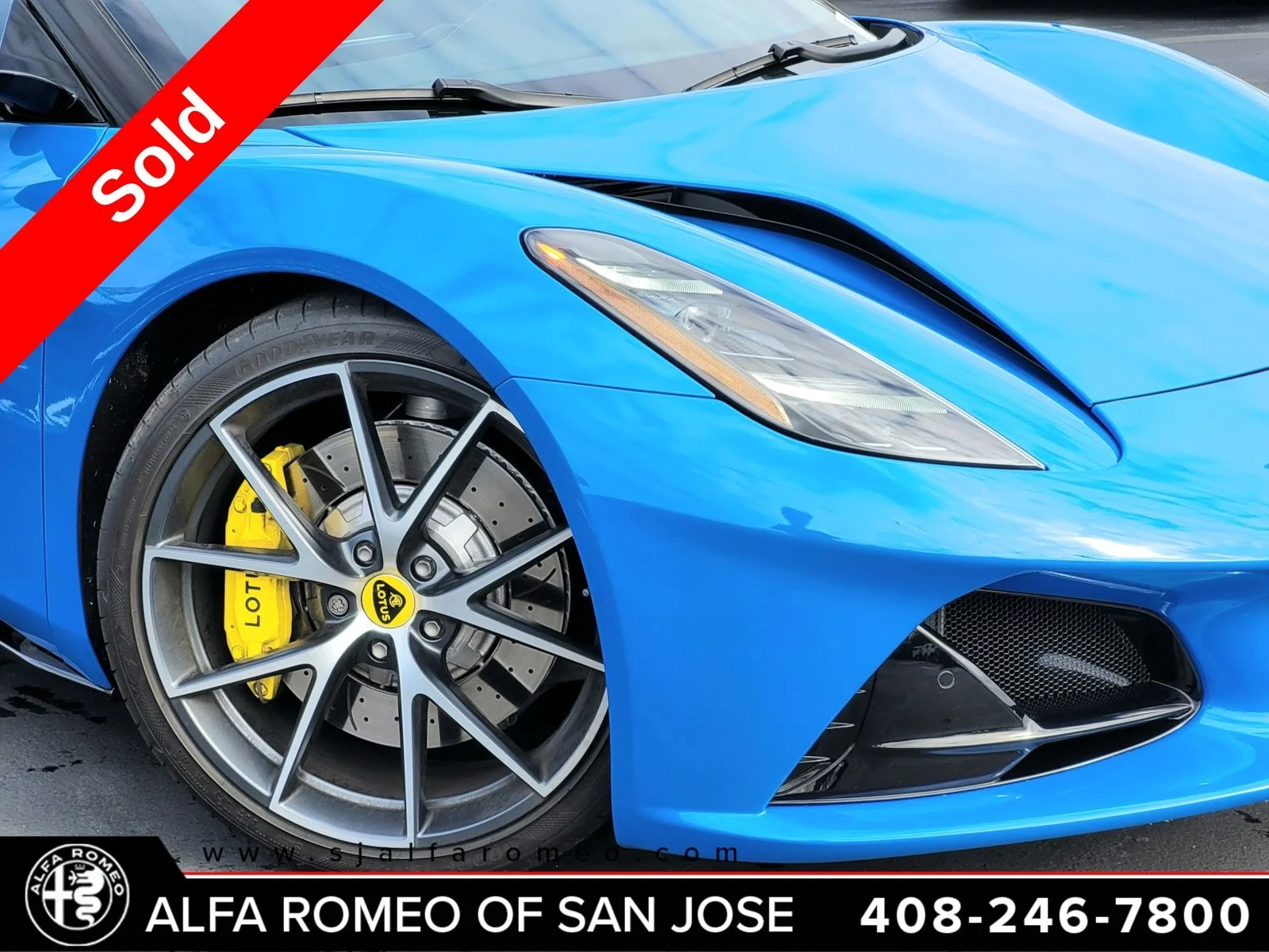 Used 2024 Blue Lotus First Edition image 5