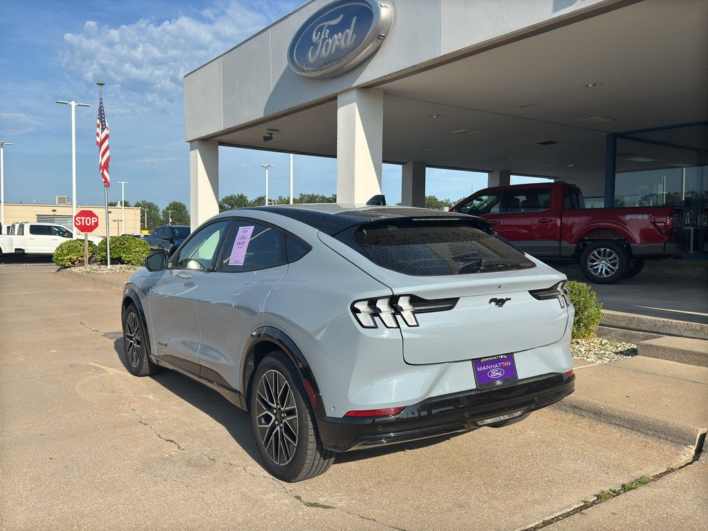 Used 2024 Glacier Gray Metallic TriCoat Ford Premium image 10