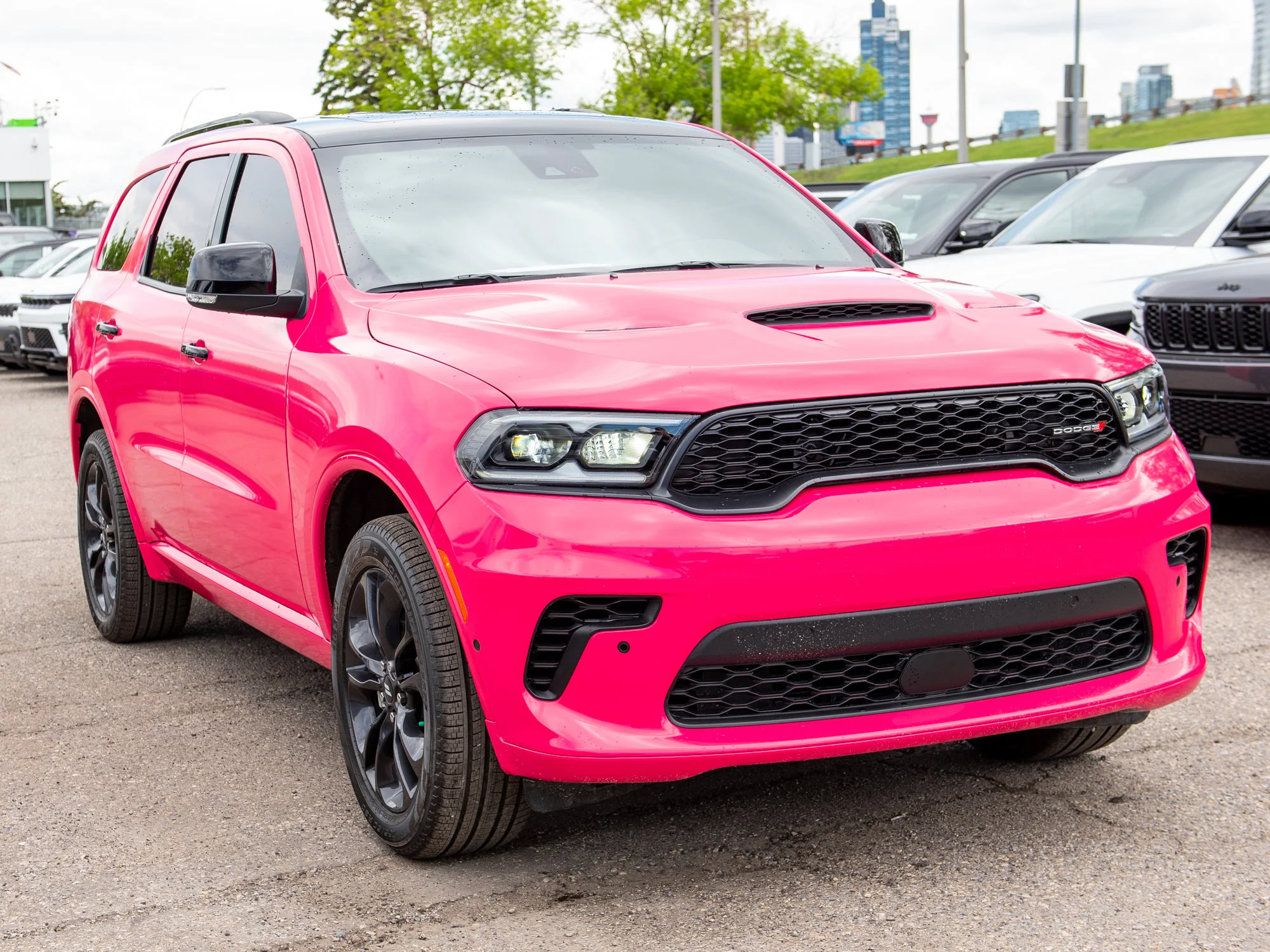 New 2026 Black Dodge GT Plus* image 6