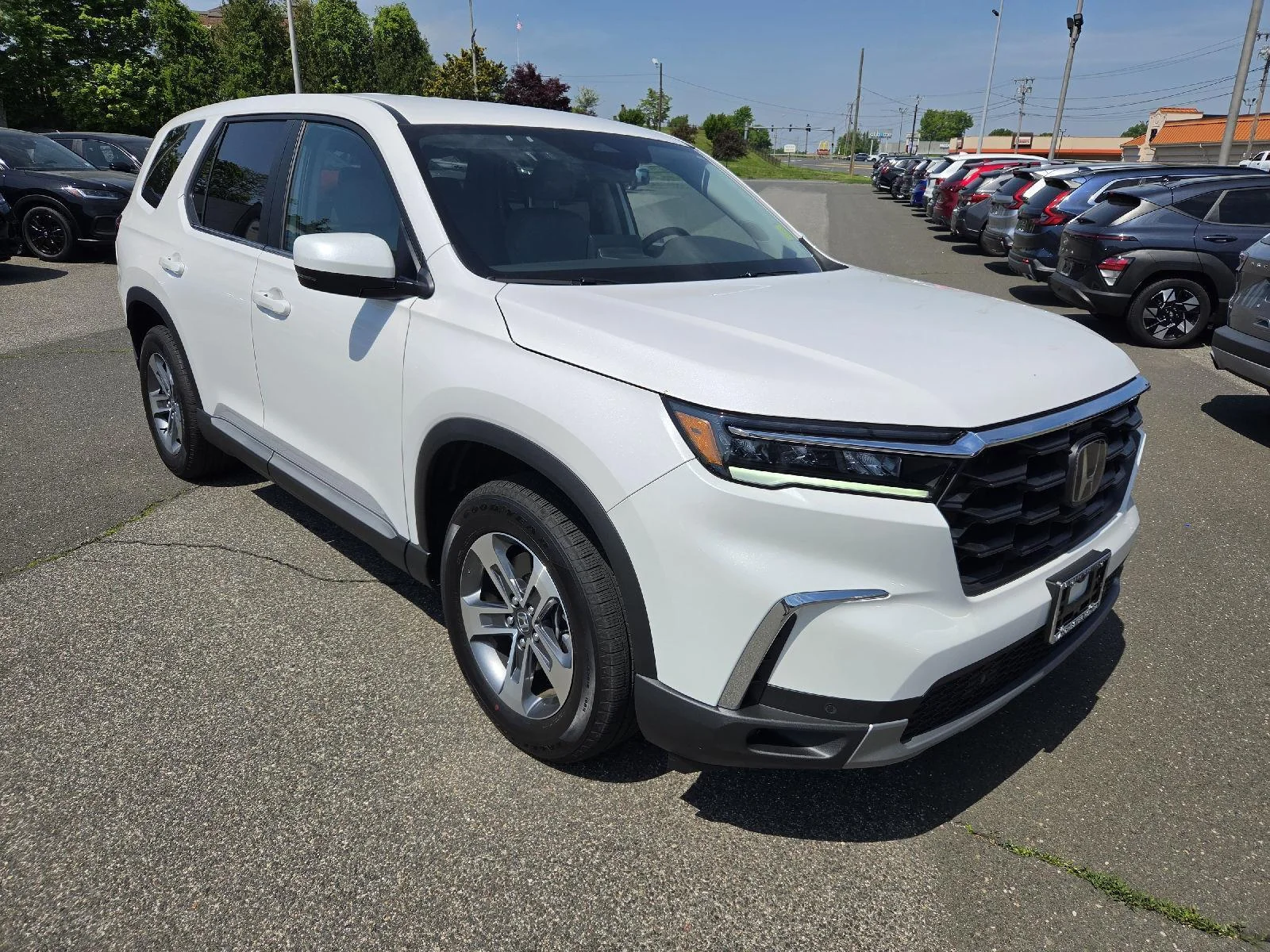 2025 Honda Pilot EX-L AWD's photo