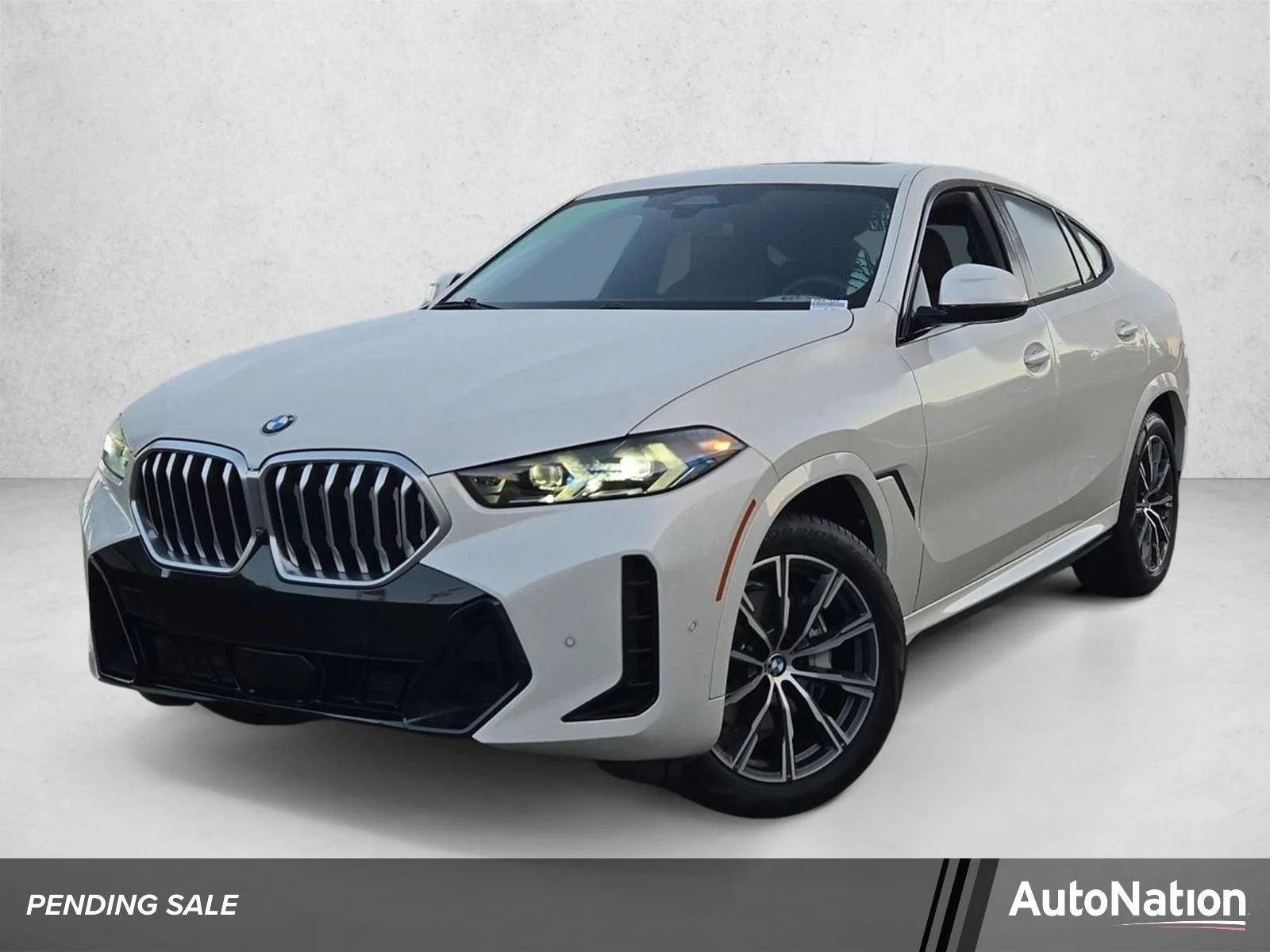 2024 BMW X6