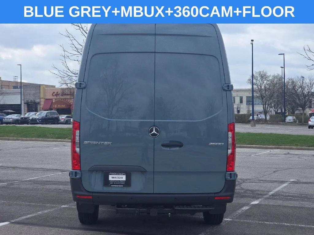 New 2026 Blue Grey Mercedes-Benz Cargo 170 WB image 10