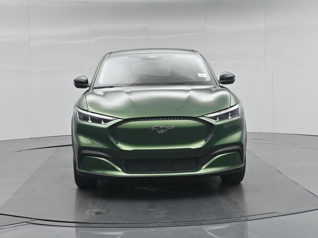 New 2026 Eruption Green Metallic Ford Select image 22
