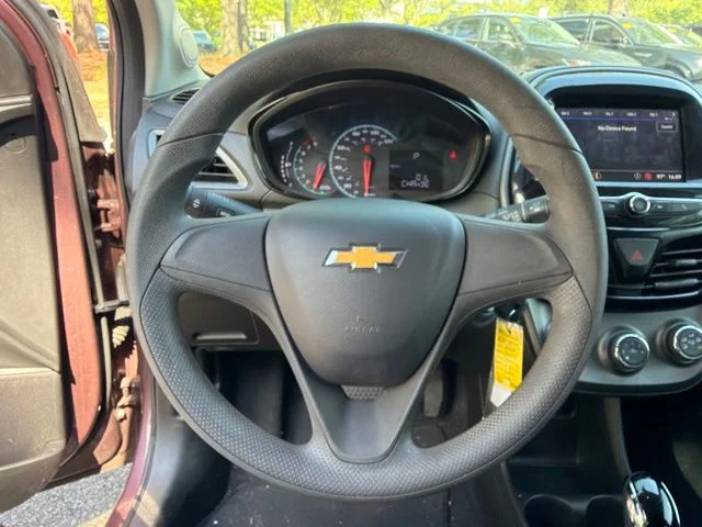Used 2019 Red Chevrolet LS image 13
