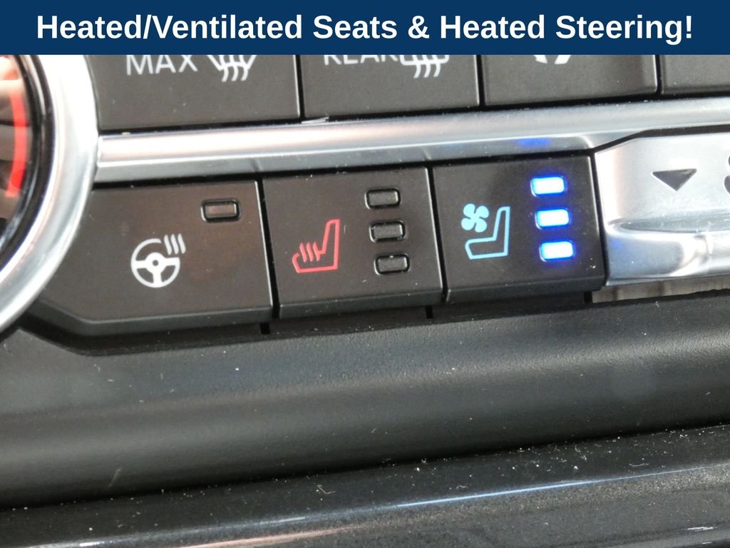 Used 2023 White Ford Limited image 19