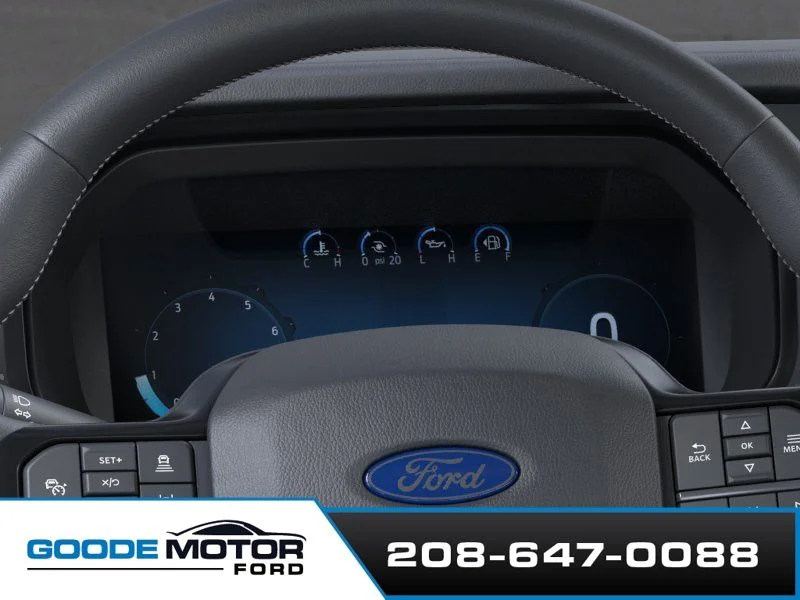 New 2026 White Ford Platinum image 13